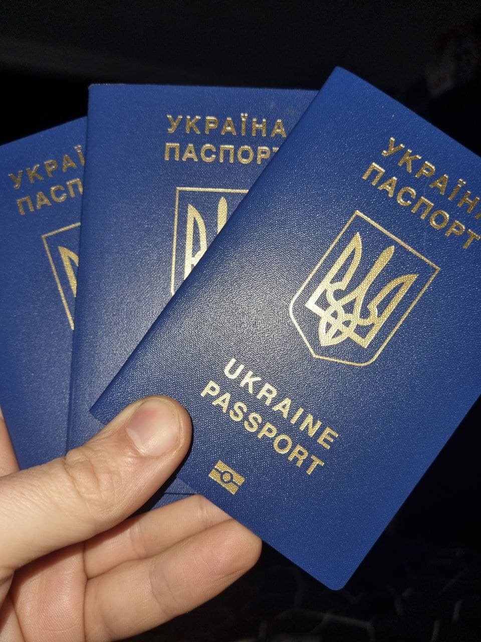 Українські паспорти — результат нашої роботи